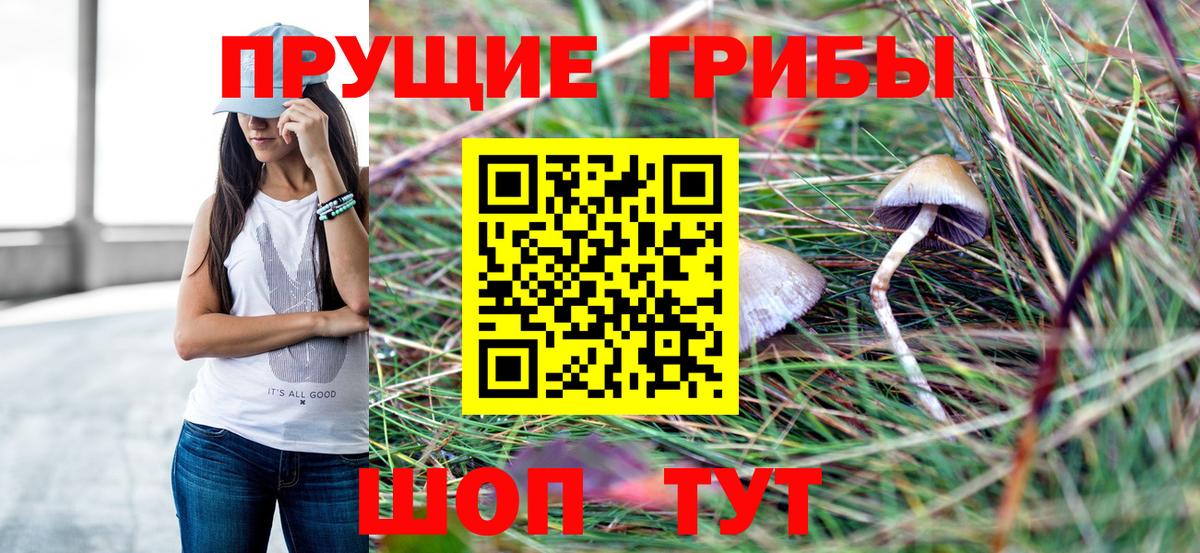 Галлюциногенные грибы прущие грибы Жигулёвск